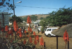 Taxi park in Butterworth, Transkei